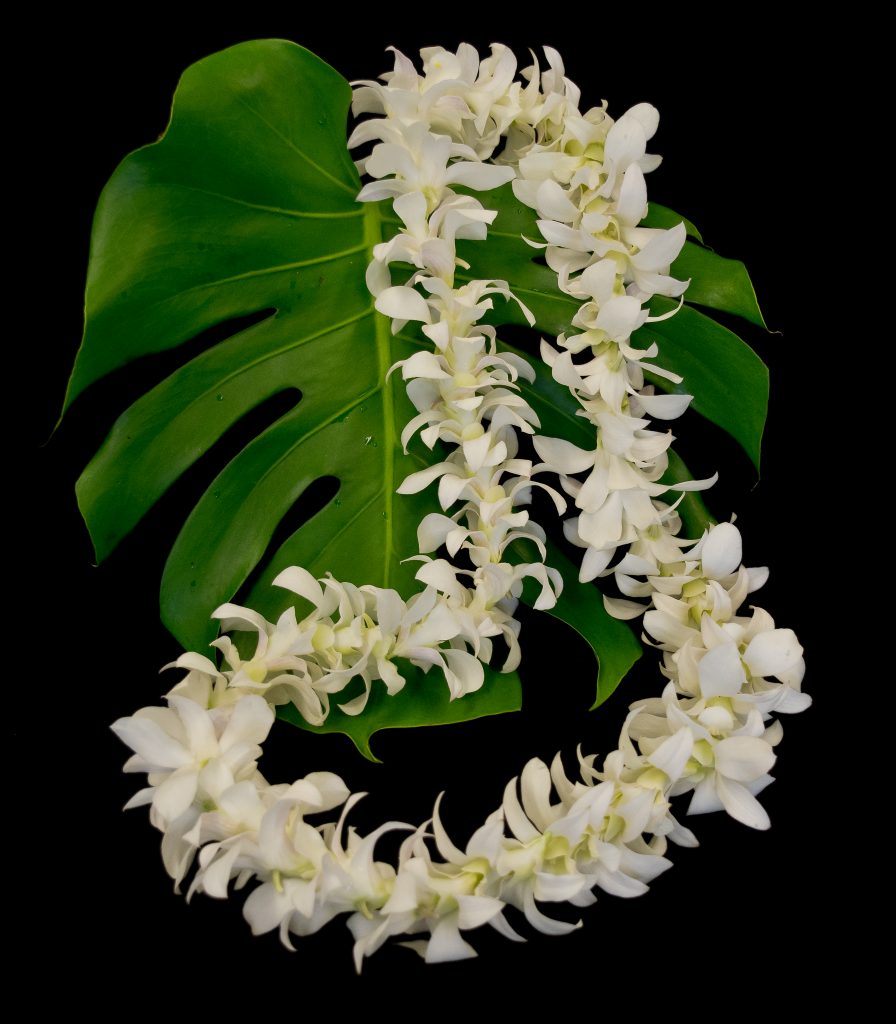 Hawaiian Orchid Lei, Classic Single